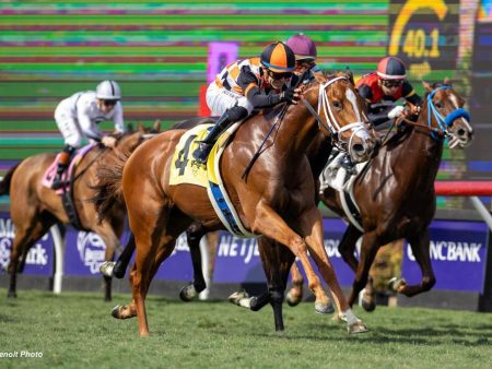 Scommesse ippiche: come funziona la giocata su una corsa